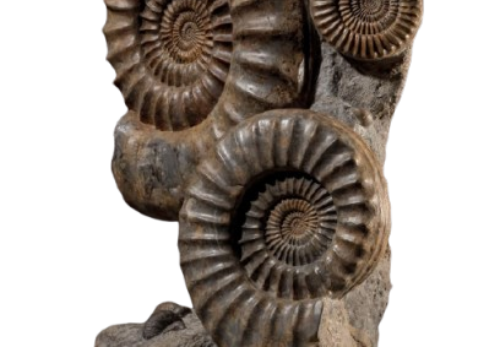 Basalt Hand Specimen