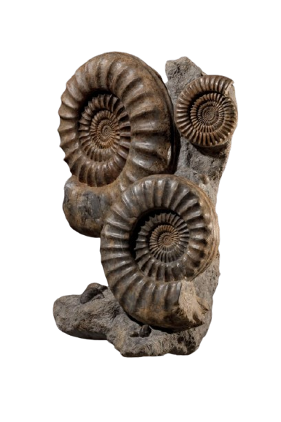 Basalt Hand Specimen